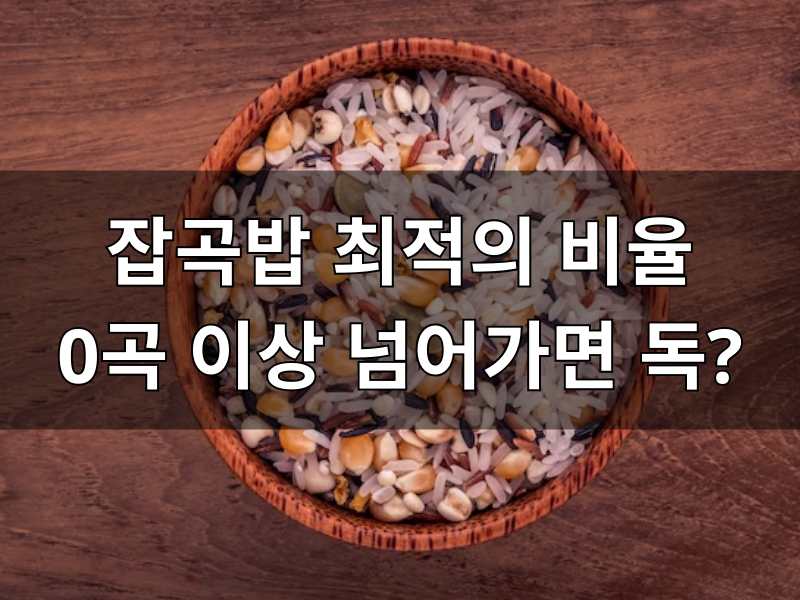 잡곡밥 비율 종류 효능 물양 하는법